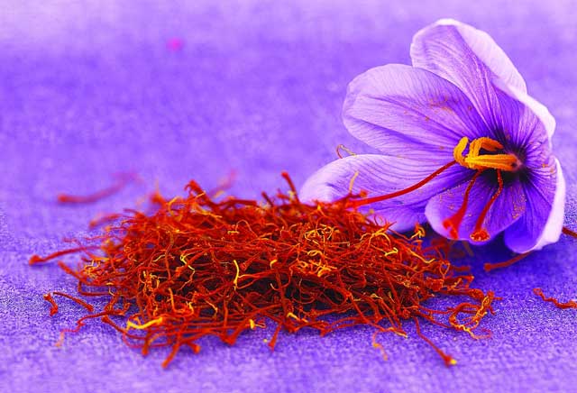Nhụy hoa Saffron