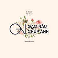 Công Ty Gạo Nâu Studio