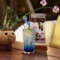 Pha Chế Thông Dụng Nam Quận 2